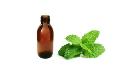 Essência Hortelã-Pimenta 125ml