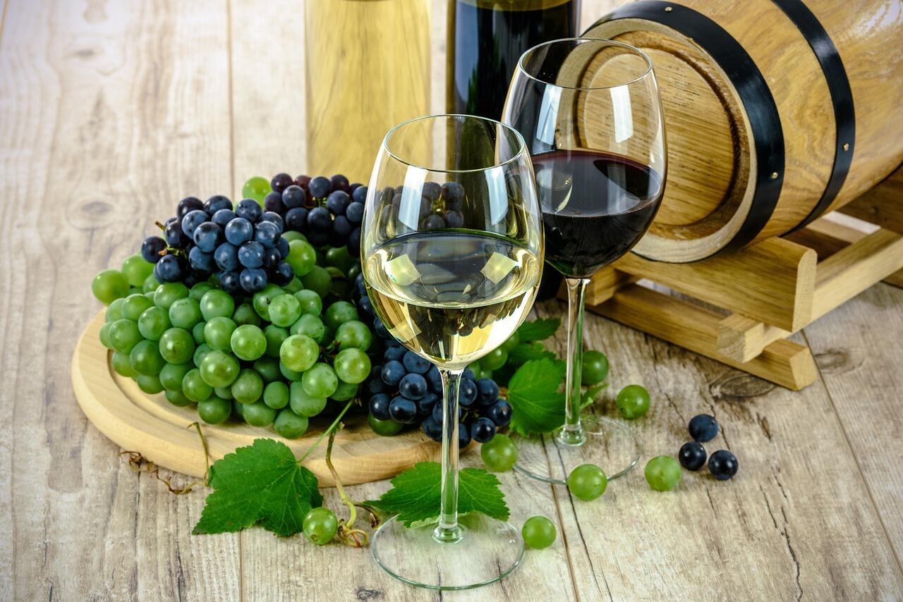 A vinicultura é o conjuto de tecnicas e conheciementos para a produção do vinho.