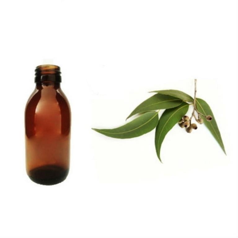 Essência Eucalipto 125 ml Essência Eucalipto 125 ml
