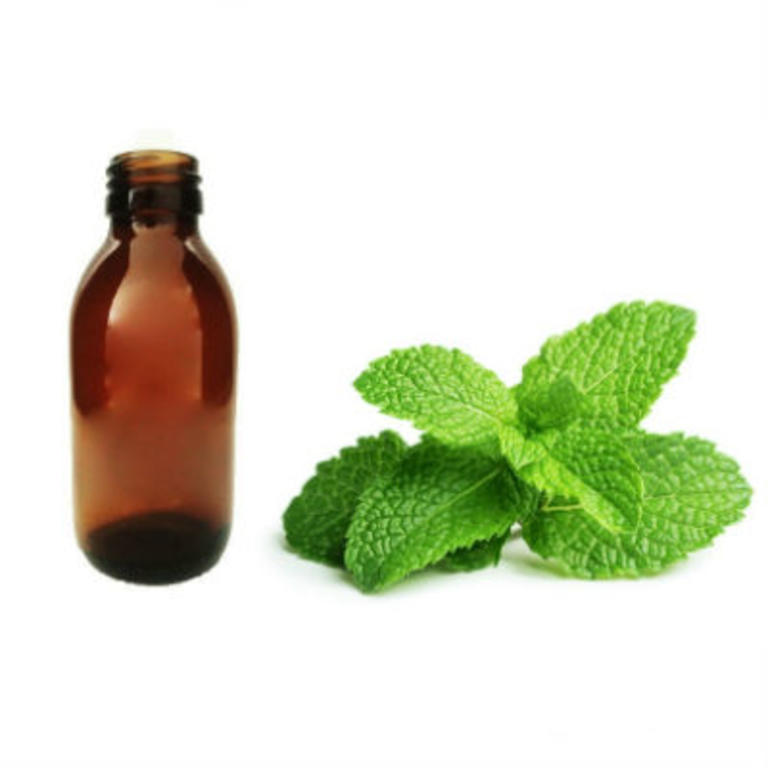 Essência Hortelã-Pimenta 125ml Essência Hortelã-Pimenta 125ml